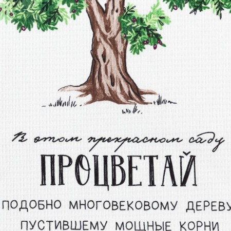 A set of kitchen towels of the share "Private", 35x60cm-2pcs, 100% cotton-5