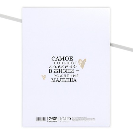 Folder for birth certificate "Love", A4.-2