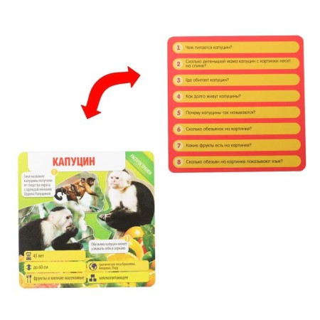 The board game-book "Box of Knowledge. Animals around the world ", 50 cards, cube, 7+-3