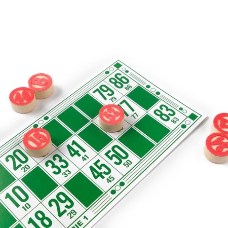 Russian lotto, board game "Gift", 18 x 10 cm, 20 chips-3