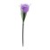 Garden lamp on the solar battery "Violet Tulip", 4.5 × 29 × 4.5 cm, 1 LED, glow white