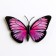 Magnet Plastic "Butterfly" mix 9.5x8.5 cm