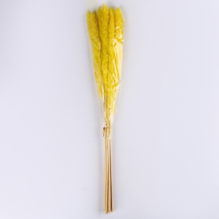 Sukhotzet "reed" set 15 pcs, color orange-4