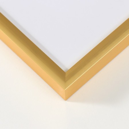 Photo frame plastic LIDA 30x30 cm Gold (plastic screen)-2