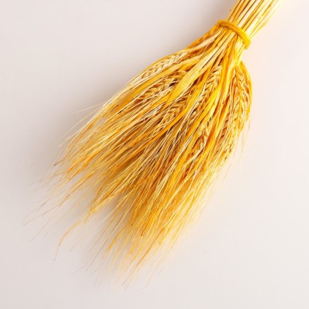 Set of dried flowers "rye", banch 35-40 pcs, length 55-65 (+/- 6 cm), yellow-2