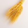 Set of dried flowers "rye", banch 35-40 pcs, length 55-65 (+/- 6 cm), yellow