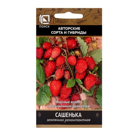 Strawberry seeds repairing Sasha, 100pcs