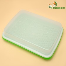 Tray for germination of grass to cats with a lid, 32 x 23.5 x 5 cm