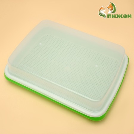 Tray for germination of grass to cats with a lid, 32 x 23.5 x 5 cm