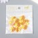 Decor for creativity "Number 4 with an animal" set 10 pcs 2.1x1.9 cm
