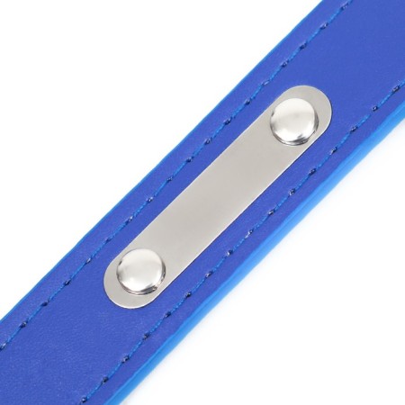 A collar made of artificial leather with a wool for engraving 52 x 2.5 cm, Osh 35-45 cm, blue-5
