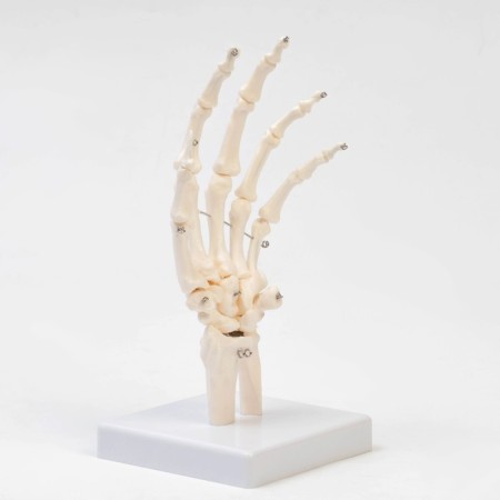 Model "Boat joint" 25*11*11cm-1