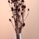 A set of dried flowers "Eringium", ban 5 pcs, length 50 (+/- 6 cm), terracotta