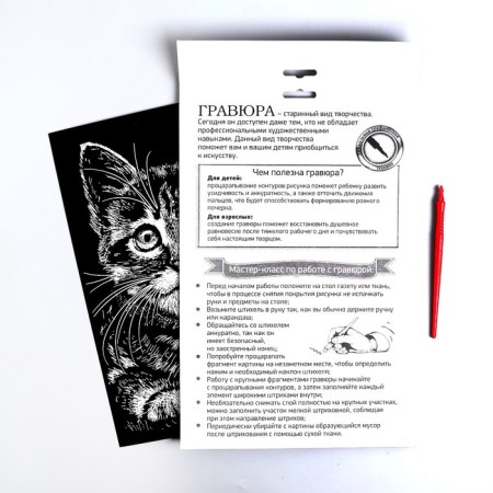 Engraving "kitten" with a metallic effect "silver" A4-3