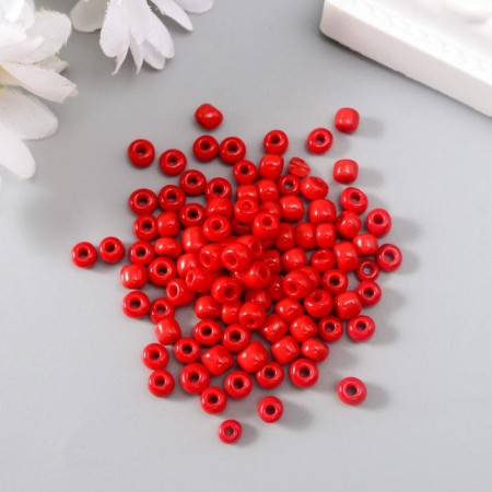 Round beads 6/0 "Rowal" 20 g