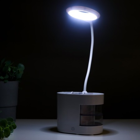 Highway lamp 16813/1 LED 5W USB white 8x12x43 cm Risalux-3