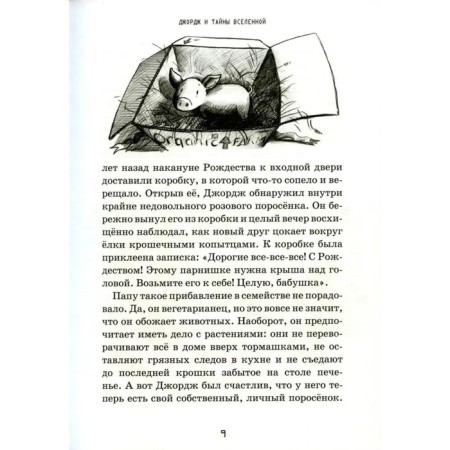 George and the secrets of the universe. Hawking L., Hawking S.-3