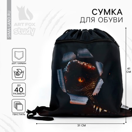 Danger 2 shoes bag, 30 x 40 cm