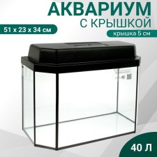 Aquarium 
