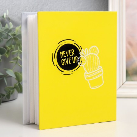 Photo album in 100 photos 10x15 cm, plastic. sheets "Fluffy Pets" meow-1