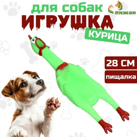 Toy of the "thoughtful chicken" for dogs, 28 cm, bright green
