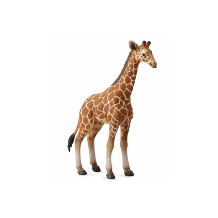 Figure "Foal of a mesh giraffe"