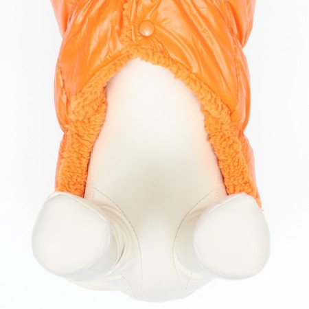 Dog jacket "Shine", s (DS 25, OG 37, Osh 24 cm, up to 5 kg), orange-5