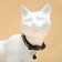 Koshachi collar "shower" luminous, with a bell, 30 x 1 cm, polyester, black