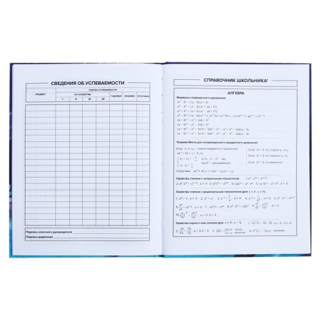Universal Grade 1-11 Diary, 48 sheets "Magic World", hard cover, Soft Touch lamination, foil embossing, offset block-8