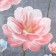 KPB 1.5P Merry YH1047-9CG 145x220cm, 150x220, 70x70cm 1pc, microfiber 70g/m, PE100%