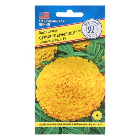 Flower seeds marigolds are erect "Perfect", golden, F1, 5 pcs