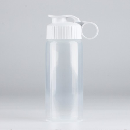 Water bottle "View 2", 450 ml