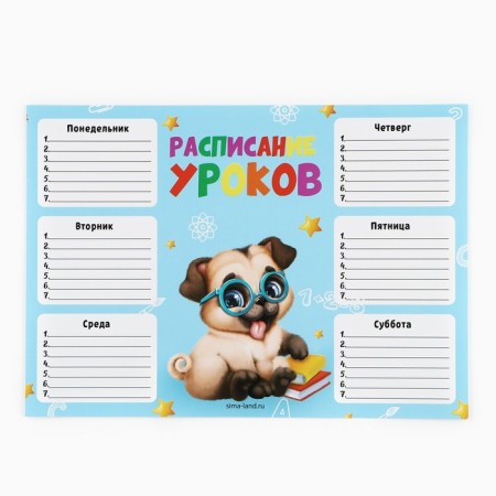 Gift set for graduation in the folder of 7 items "Graduate of kindergarten"-8