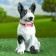 Garden figure "Dog Bulterer" 35x27cm