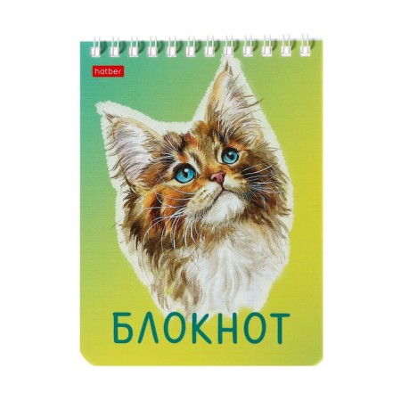 Notepad A6, 40 sheets on the crest "cats are different", cover coated cardboard, UV-lak, block 65 g/m², mix-1