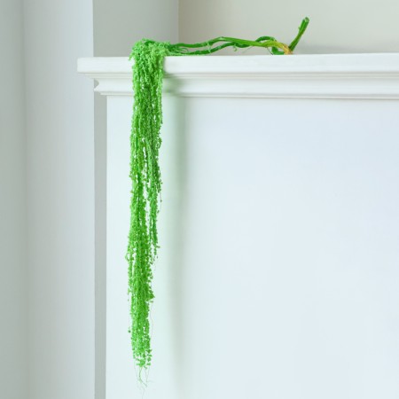 Dry amaranth flowers, 100 g, sheet size: from 50 to 60 cm, green color