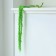 Dry amaranth flowers, 100 g, sheet size: from 50 to 60 cm, green color