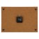 Carty clock is wall-mounted, interior "inhabitants of the seabed", silent, 25 x 35 cm