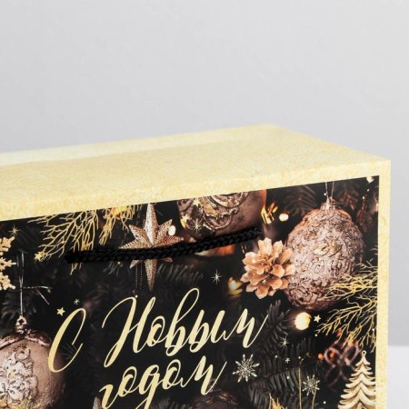 New Year's Night Package Corps, 28 x 20 x 13 cm, New Year-3
