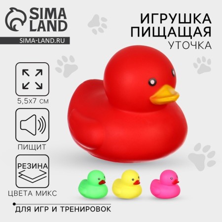 Toys for dogs. Rubber figurine with a “Duck” squeak, 7 cm, mix