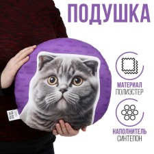 Pillow 
