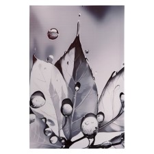 Picture on canvas 