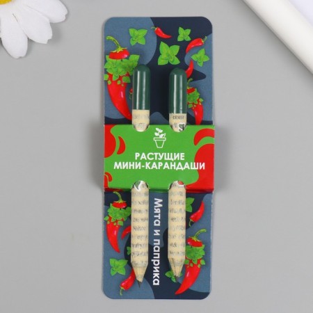 Growing gift pencils Mini "Mint and Paprika" set 2 pcs