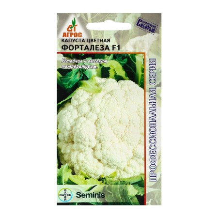 Cabbage Cabbage seeds "Fortalem" F1 15pcs* Seminis