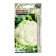 Cabbage Cabbage seeds "Fortalem" F1 15pcs* Seminis