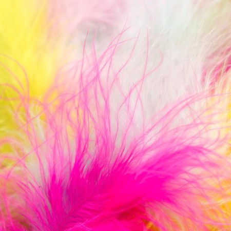 Decorative ostrich feathers, 10-12 cm (set 24 pcs) 6 colors, pastel, assorted-4