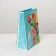 Package Gift Laminated Vertical, Packaging, Tulips, MS 18 x 23 x 8 cm