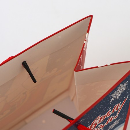 Laminated package "on a sleigh", MS 23 × 18 × 10 cm-2