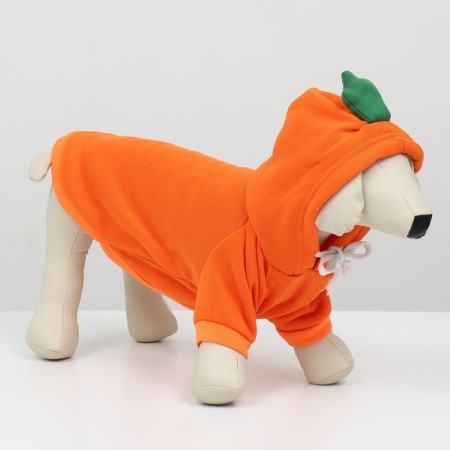 Sweep "Favorite Carrot", Size S (DS 25, OG 38cm)-1