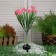 Garden lamp on the solar battery "Margarita", 70 cm, 42 LED, glow of white